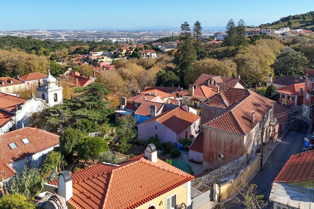 Farm Ranch in Sintra, Lissabon, Portugal 5 - 19203993