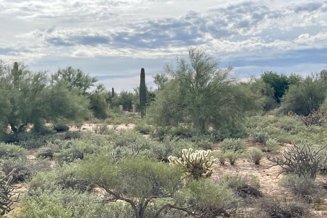 Terreno a Mesa, Arizona, Stati Uniti 1 - 19205435