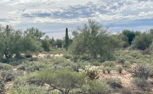 Terreno a Mesa, Arizona, Stati Uniti 1