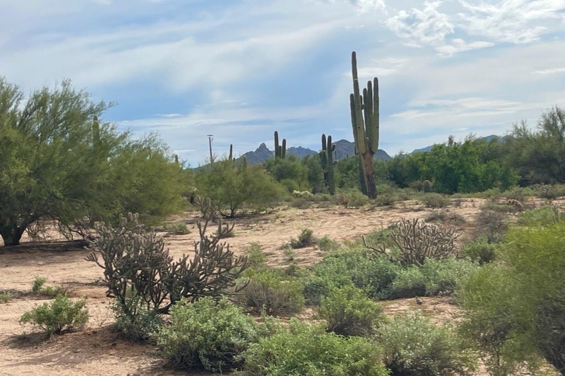 Terreno a Mesa, Arizona, Stati Uniti 5 - 19205435