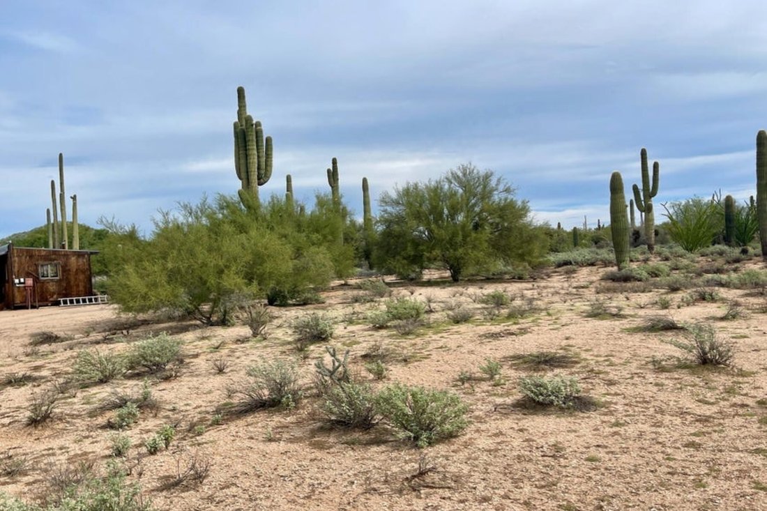 Terreno a Mesa, Arizona, Stati Uniti 3 - 19205435