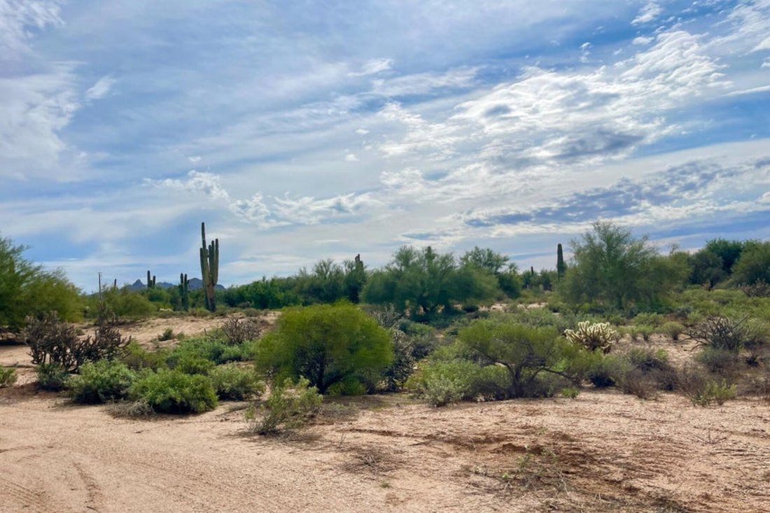 Terreno a Mesa, Arizona, Stati Uniti 4 - 19205435