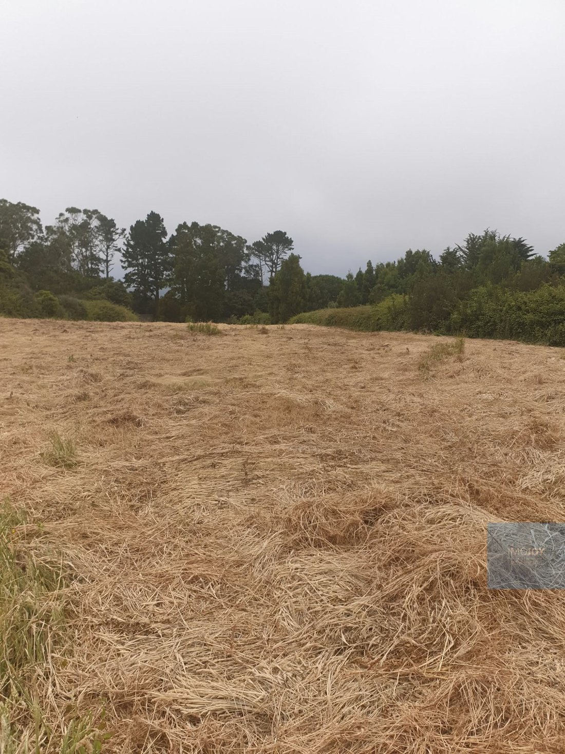 Terreno en Colares, Distrito de Lisboa, Portugal 3 - 19207186