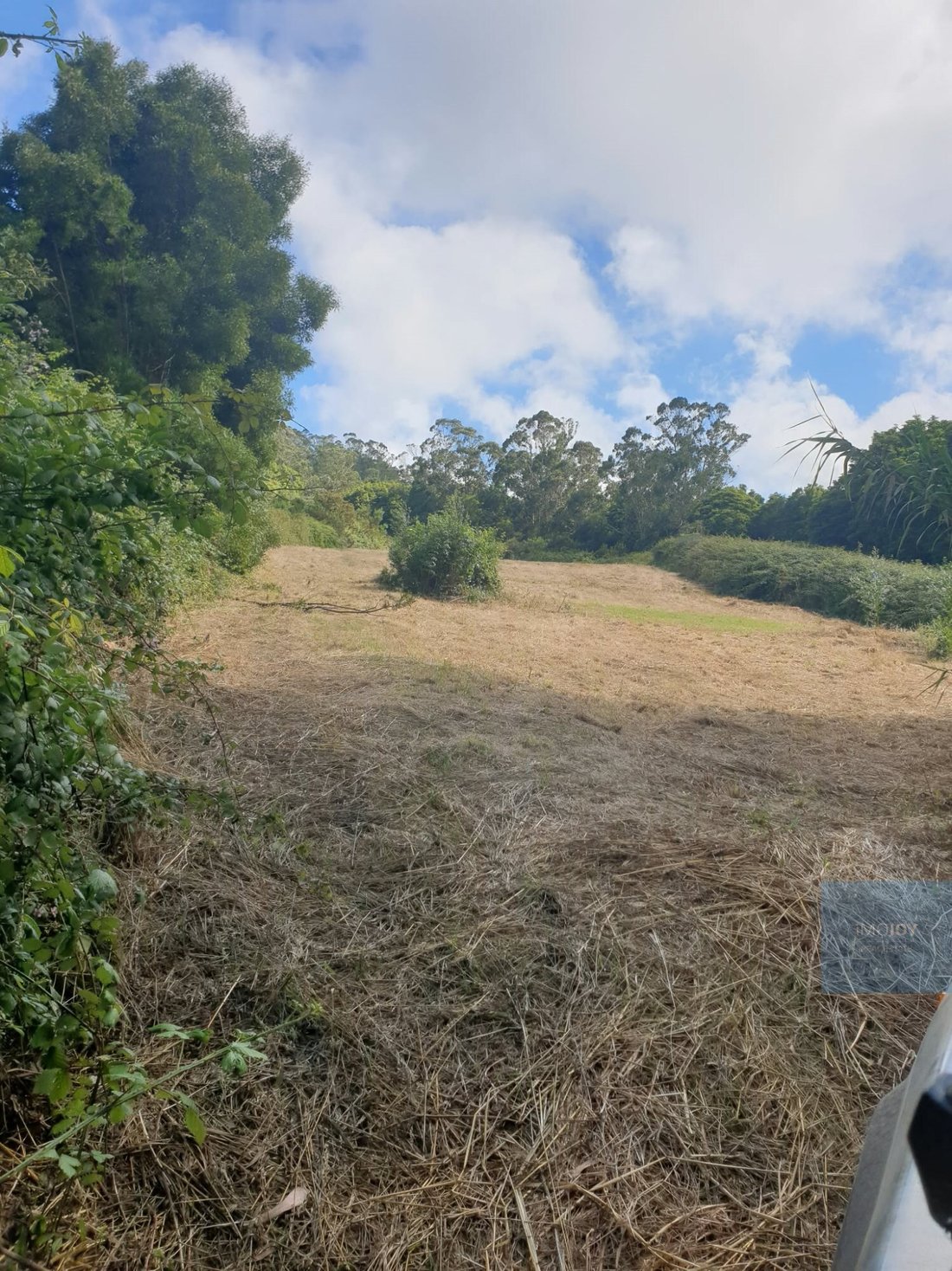 Terreno en Colares, Distrito de Lisboa, Portugal 4 - 19207186