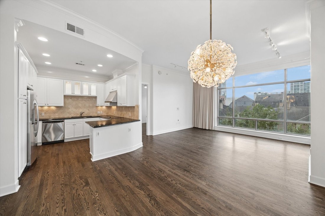Condo in Houston, Texas, United States 5 - 19213056