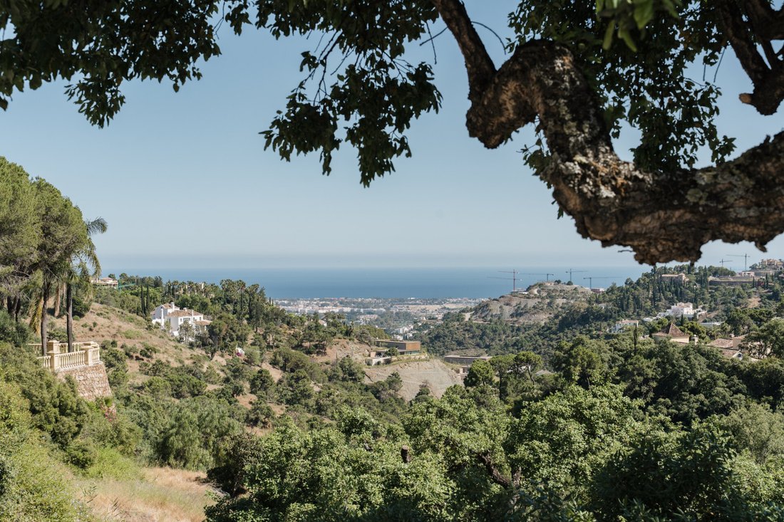 Villa in La Quinta, Benahavís, Andalusien 3 - 19213146