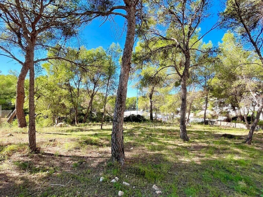 Land in Santa Ponsa, Balearic Islands, Spain 2 - 19210784