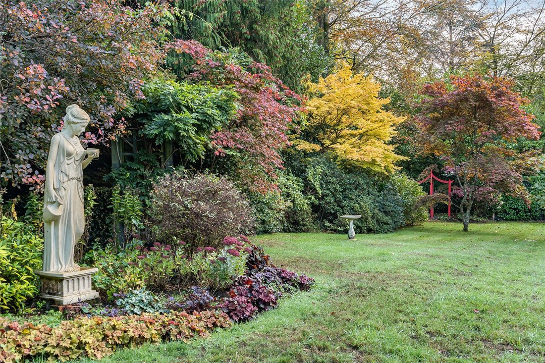 Bungalow a Almshouse Common, Haslemere, Inghilterra 4 - 19210850