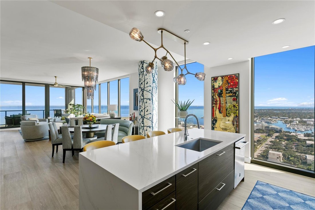 Condo in St. Petersburg, Florida, United States 3 - 19209949