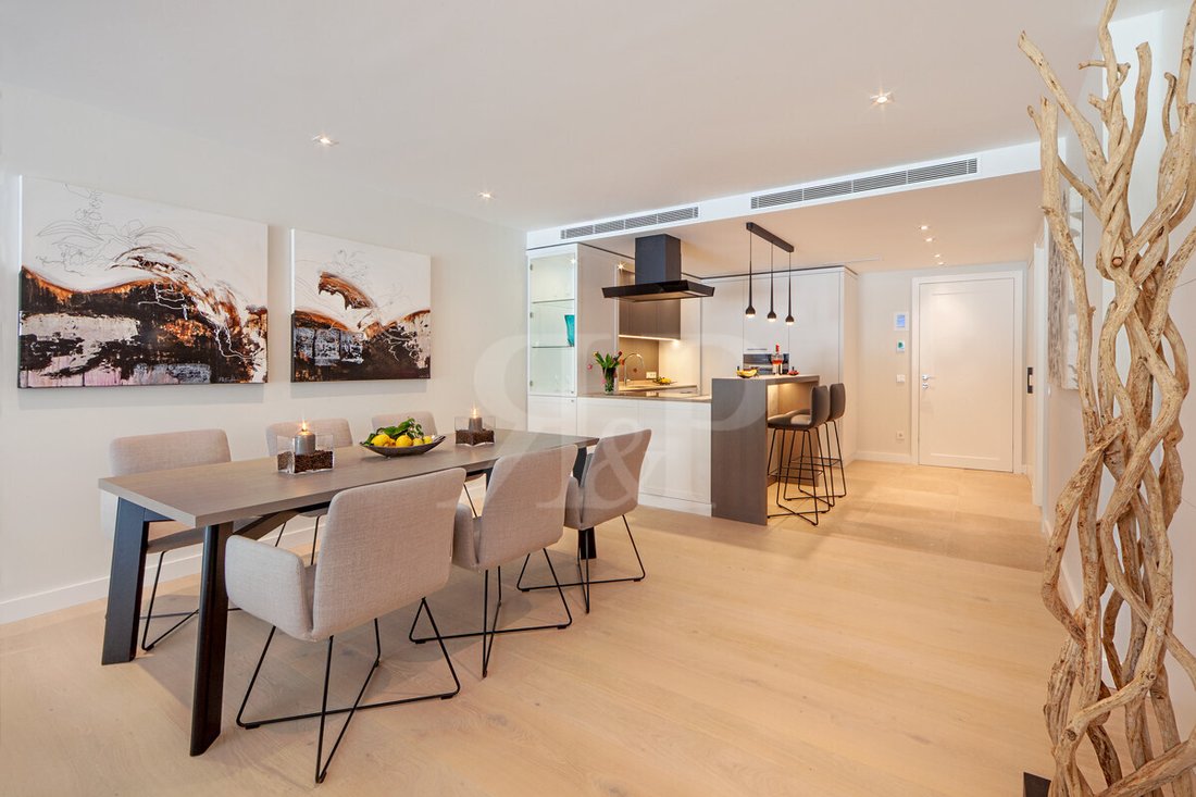 Apartment in Port d'Andratx, Andratx, Balearic Islands 4 - 19215047