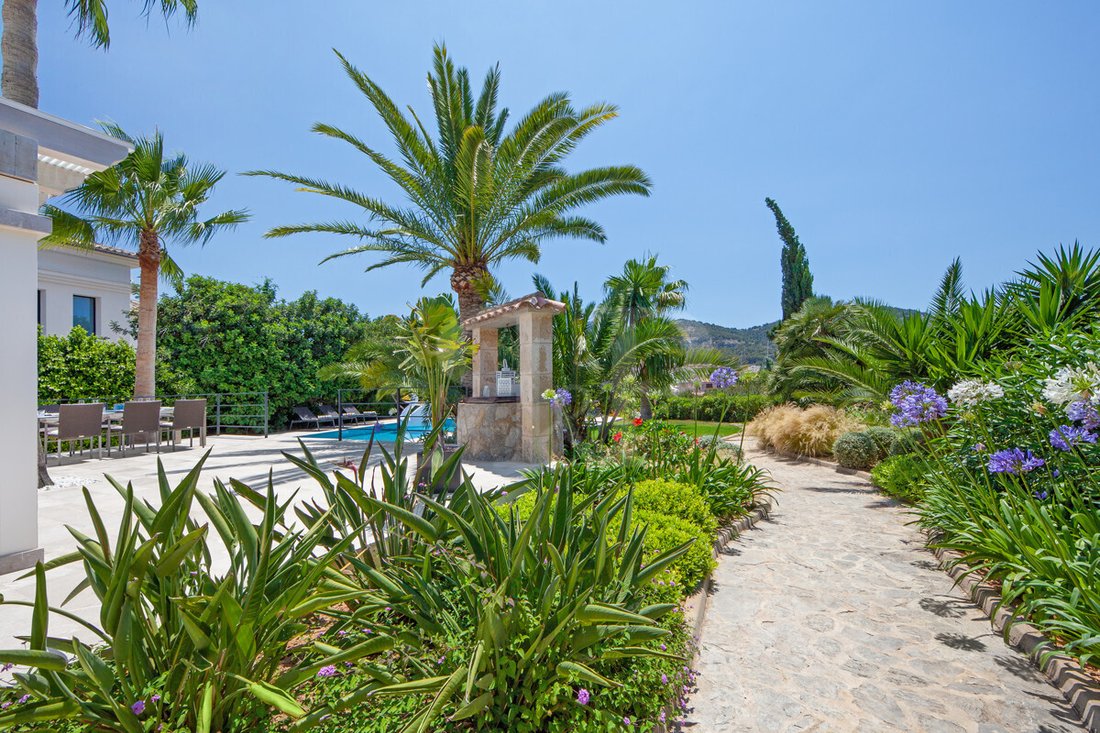 Finca in Port d'Andratx, Andratx, Balearic Islands 3 - 19215054