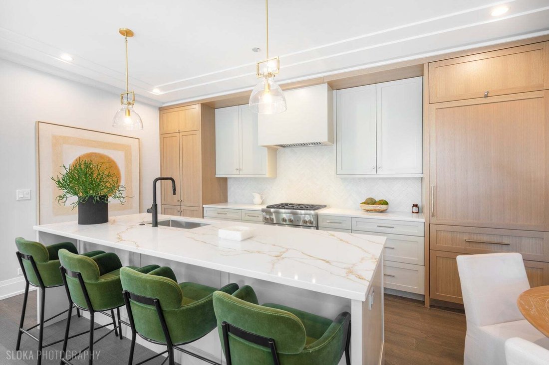 Condo in Chicago, Illinois, United States 2 - 19220490